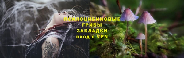 PSILOCYBIN Покровск