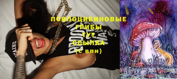 ПСИЛОЦИБИНОВЫЕ ГРИБЫ Покров