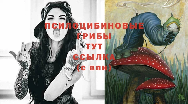 ПСИЛОЦИБИНОВЫЕ ГРИБЫ Покров