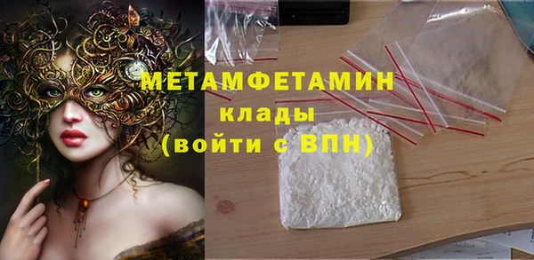 индика Кинешма