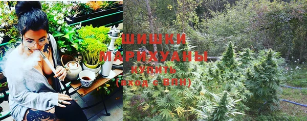 ПСИЛОЦИБИНОВЫЕ ГРИБЫ Покров