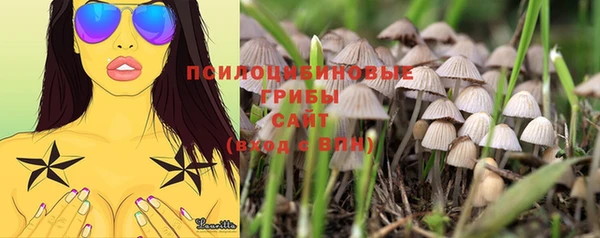 мдма Приозерск